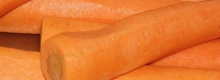 Porkkana Porkkana