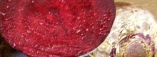 Punajuuri Punajuuri
