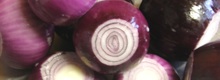Punasipuli Punasipuli